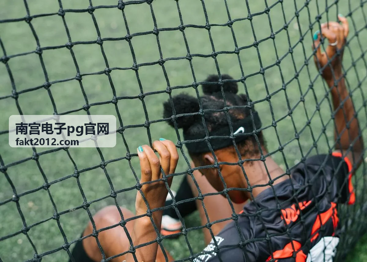 南宫电子pg官网 内容分类栏目划分说明