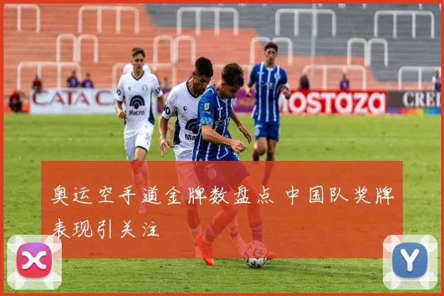 奥运空手道金牌数盘点 中国队奖牌表现引关注