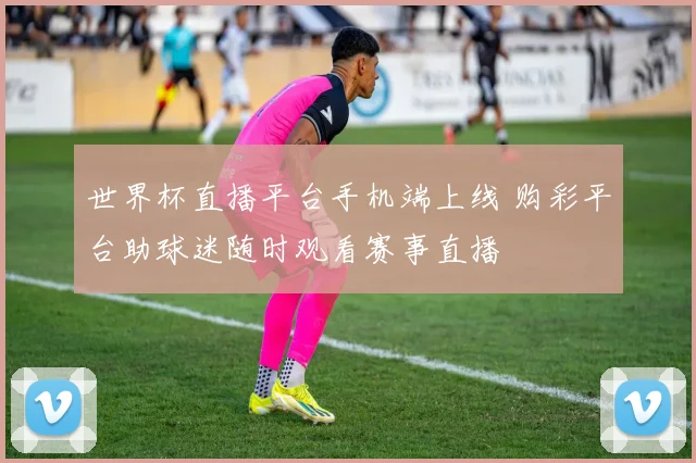 世界杯直播平台手机端上线 购彩平台助球迷随时观看赛事直播